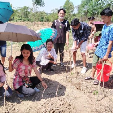 Youth in agriculture