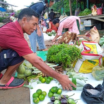 Organic market
